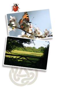 Suffolk Wildlife